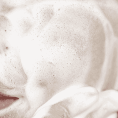 Shiseido Senka Perfect Whip Collagen